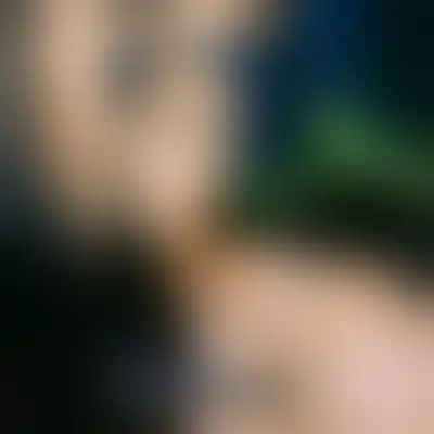 Natasha Nycolly, acompanhante castanha corpo medio em Ourilândia do Norte, PA - Real Prazer