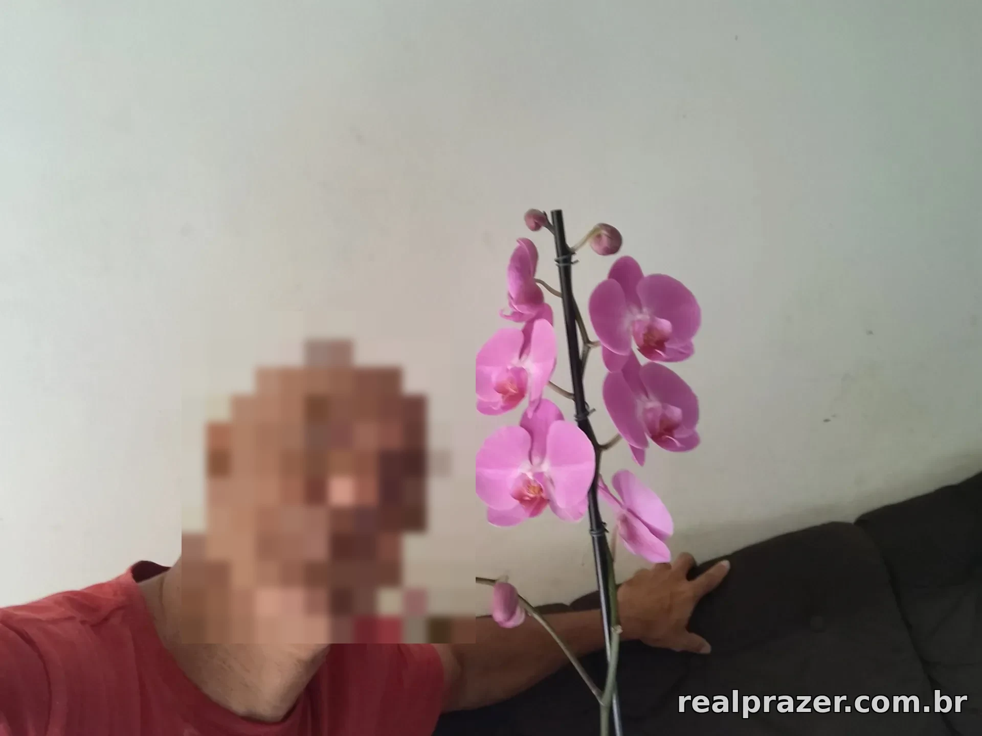 Silva, garoto de programa castanho magro em Vitória da Conquista, BA - Real Prazer
