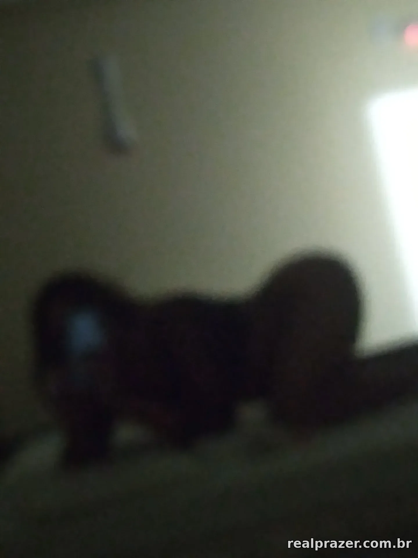 Mih Rochah, acompanhante trans gostosa em São Luís, MA - Real Prazer
