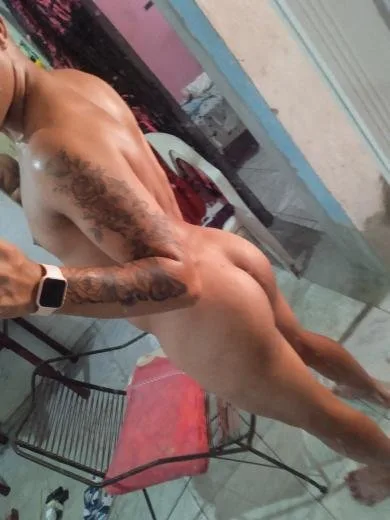 Novinho passivo