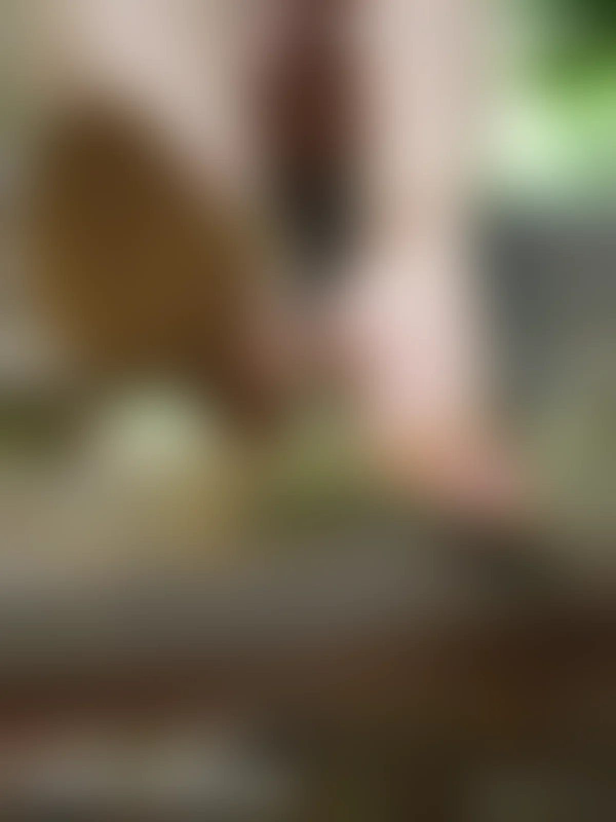 Laura Feet