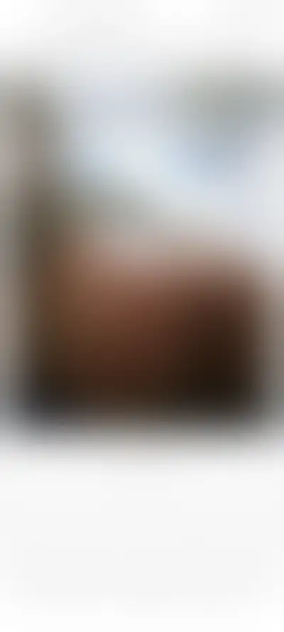 Paulete, acompanhante trans em Conselheiro Lafaiete, MG - Real Prazer