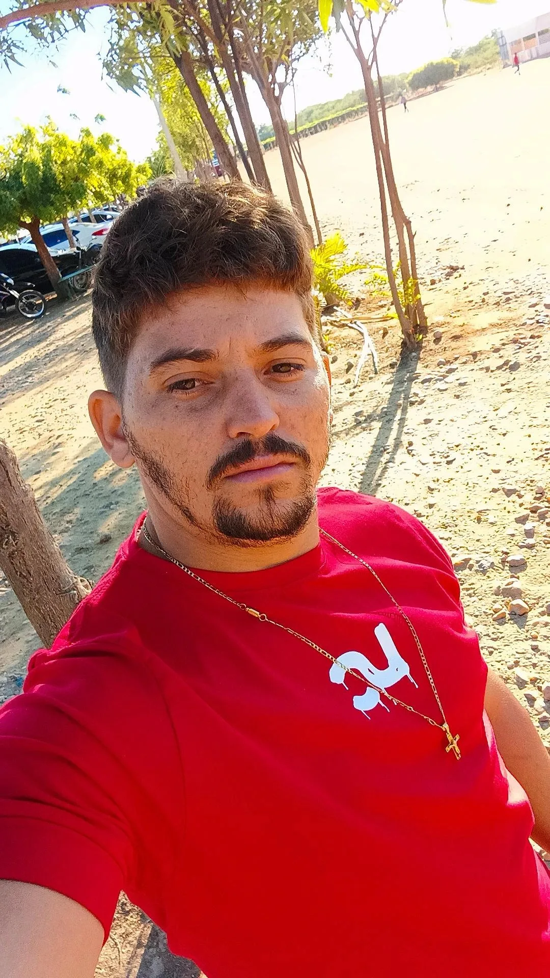 Leandro Tavares - virtual