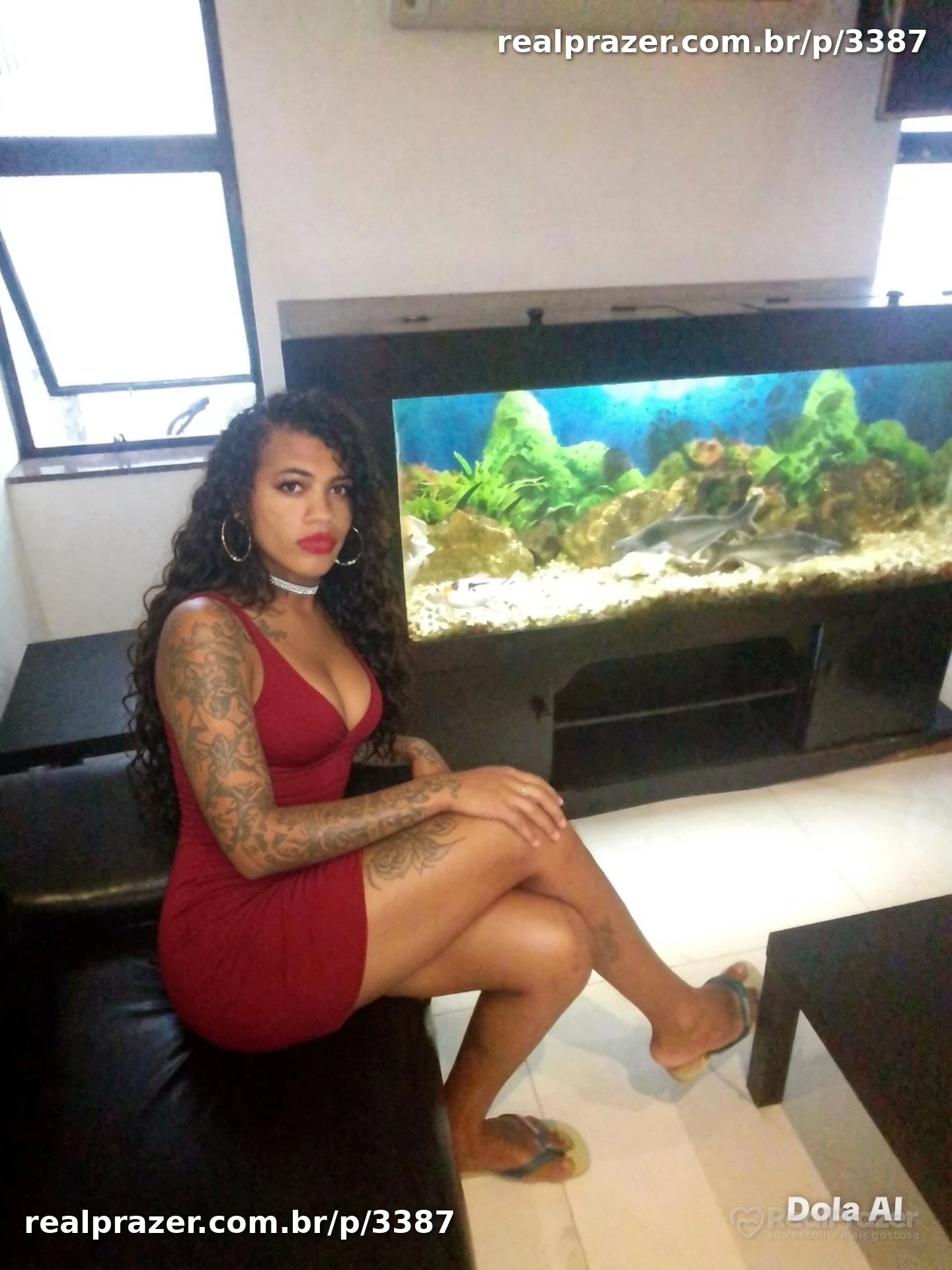Lorranny pimenta - virtual