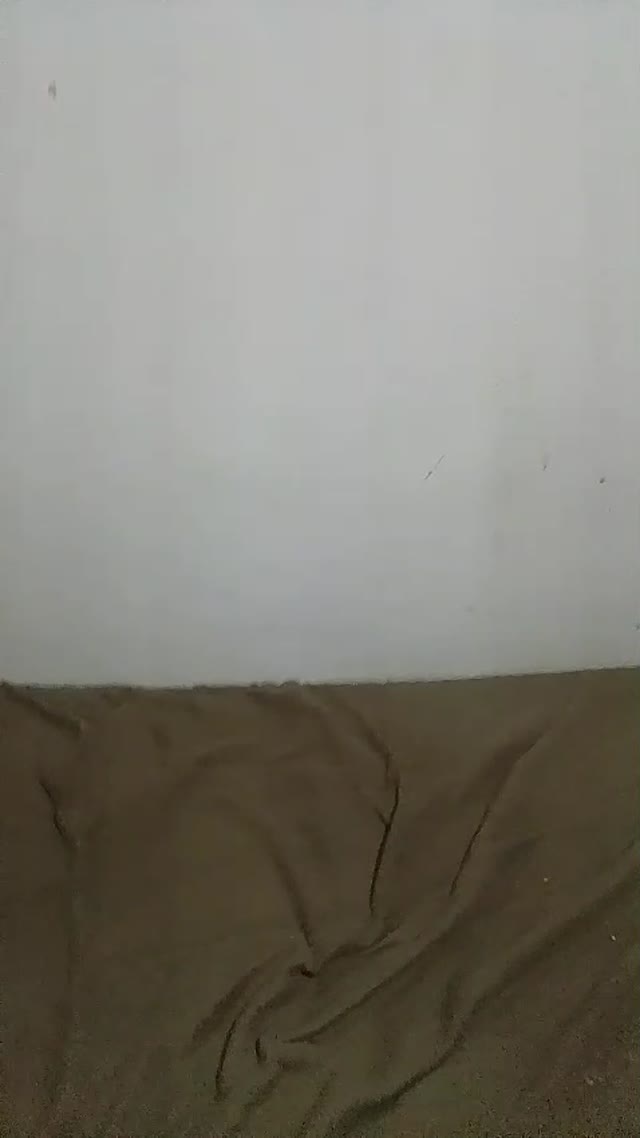 Junior Viado Rabudo