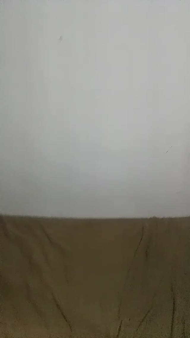 Junior Viado Rabudo